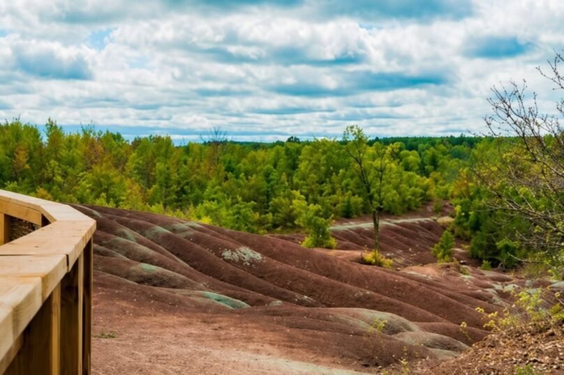 Caledon BIN RENTAL & DISPOSAL SERVICE