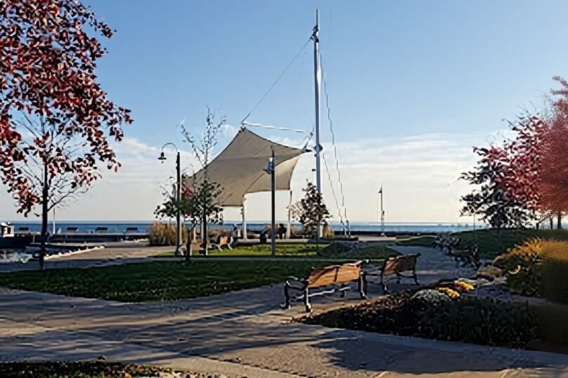 Oakville Bin Rental and Disposal Service